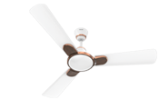 fans