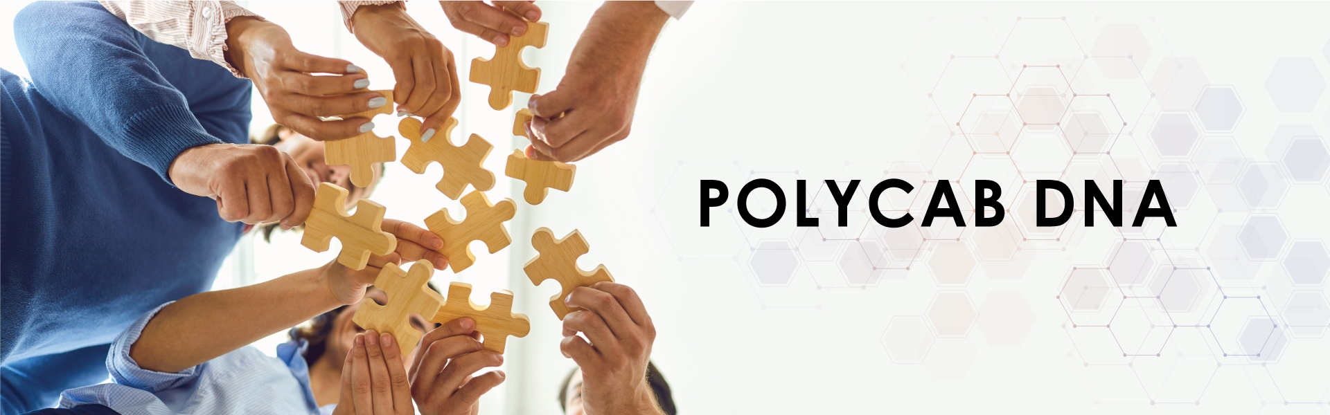 Polycab vision enhancing stakeholder value nse bse